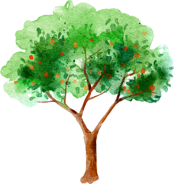 Watercolor apple tree illustration